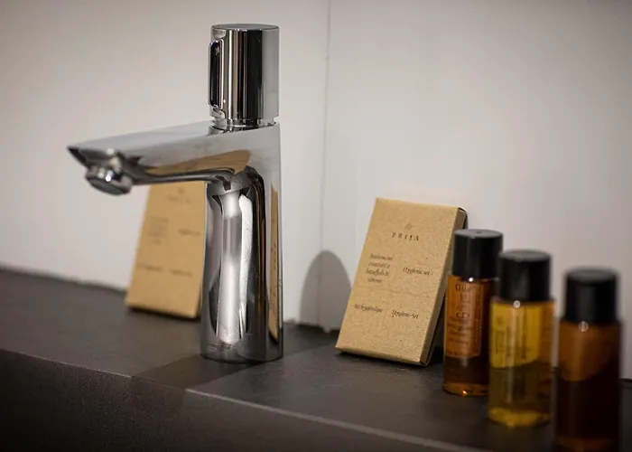 Champagne Andre Bergere - Bed and Breakfast